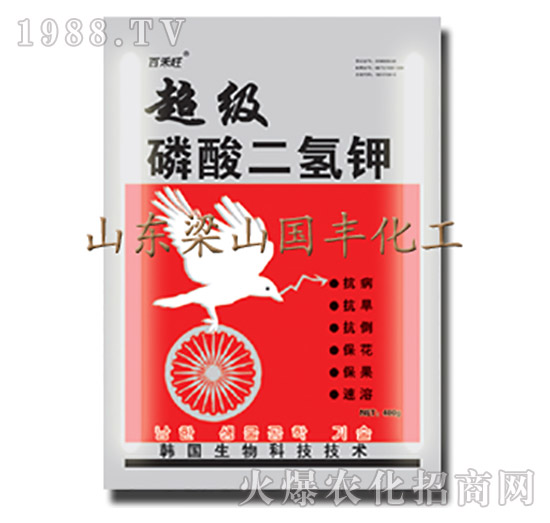 ����(j��)��������-��ɽ���S