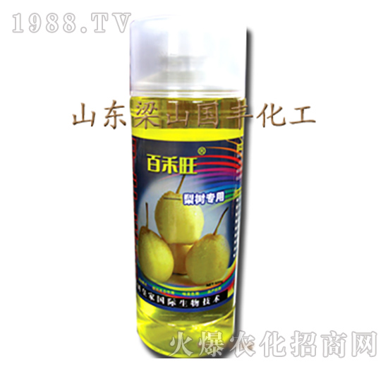 ��䌣���~���-��ɽ���S