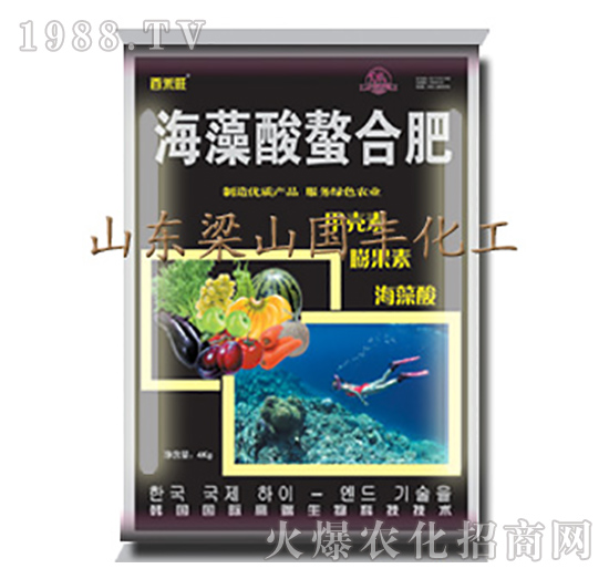 ���������Ϸ�-��ɽ���S