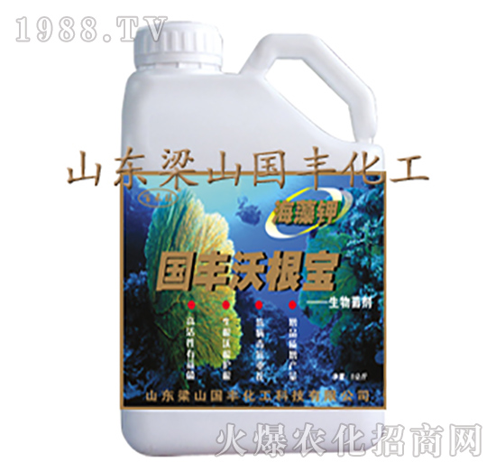 ��(gu��)�S�ָ���-��ɽ��(gu��)�S