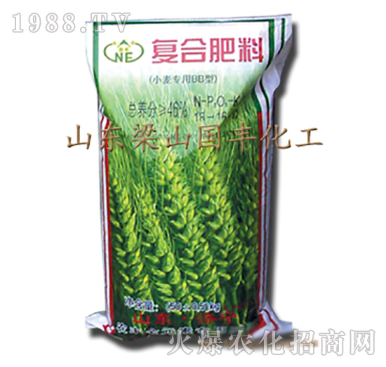 小麥BB復(fù)合肥料-梁山國(guó)豐