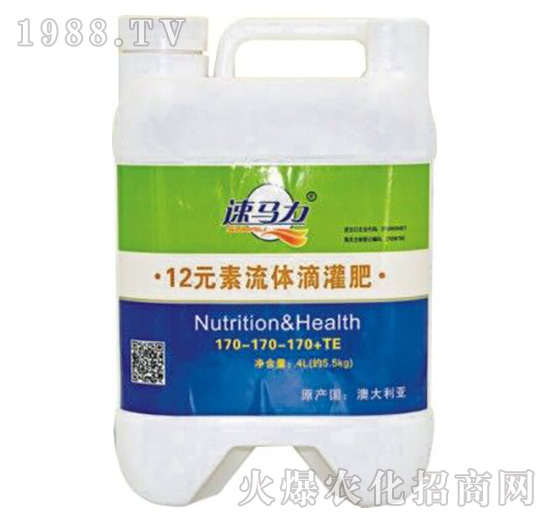 12Ԫ�����w�ι��170-170-170-���R��-�а����r