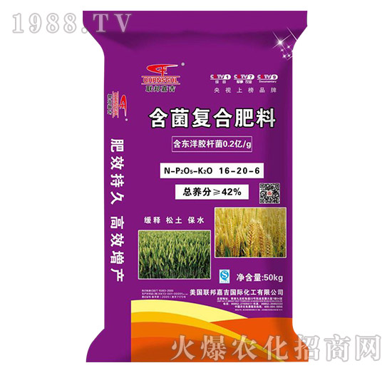 �����ͺϷ���16-20-6-(li��n)��μ�