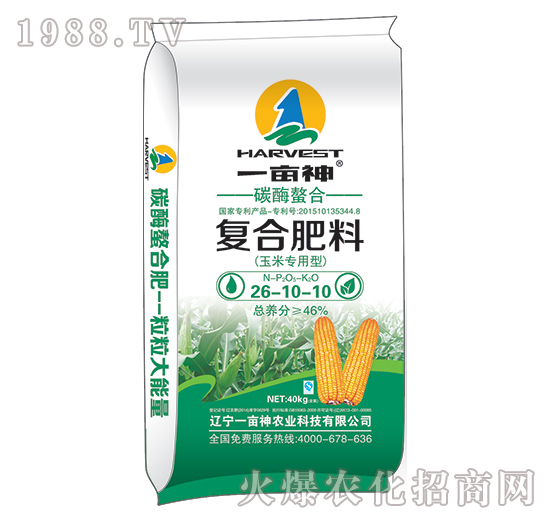 ���׌���̼ø���Ϗ�(f��)�Ϸ�26-10-10-һ����