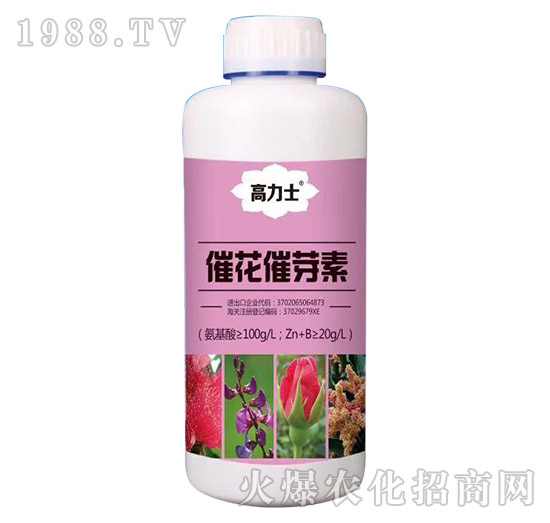 �߻���ѿ��-����ʿ-�а����r(n��ng)