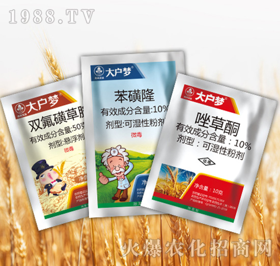 ����3�M��-�к����_