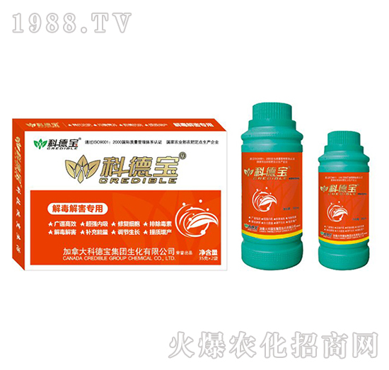 �ⶾ�⺦��(zhu��n)�àI(y��ng)�B(y��ng)���a(ch��n)�{(di��o)�턩-�Ƶ�