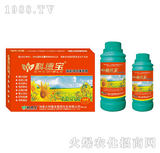 �Ͳˡ����տ����àI(y��ng)�B(y��ng)���a(ch��n)�{(di��o)�턩-�Ƶ�