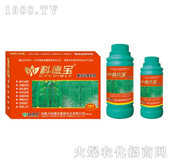 �S�϶��ǌ��àI�B(y��ng)���a�{�턩-�Ƶ�