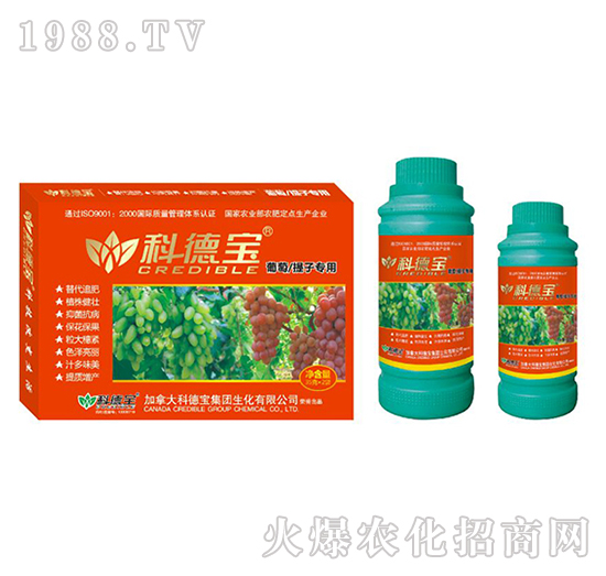 ���������ӌ��àI(y��ng)�B(y��ng)���a(ch��n)�{(di��o)�턩-�Ƶ�