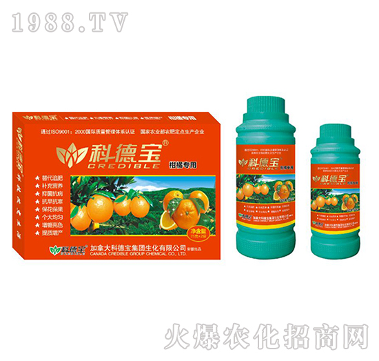 ���ٌ�(zhu��n)�àI(y��ng)�B(y��ng)���a(ch��n)�{(di��o)�턩-�Ƶ�