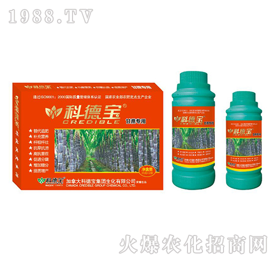 ���ጣ�àI�B(y��ng)���a�{�턩-�Ƶ�