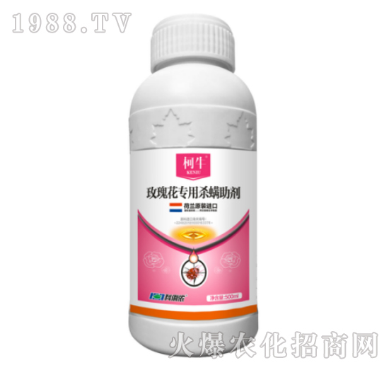 õ�廨���Ú�������-����-�����r(n��ng)