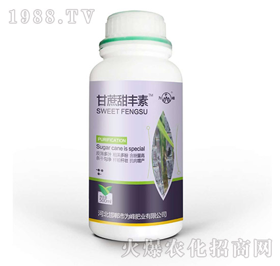 �������S��-���ʘI(y��)