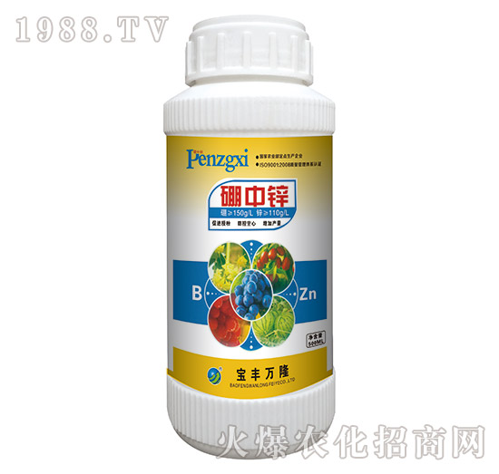 �����\-���S�f(w��n)¡