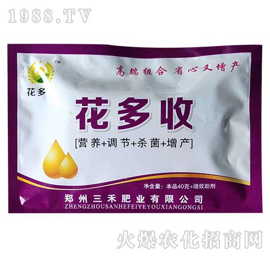 ������-����-���̷ʘI(y��)