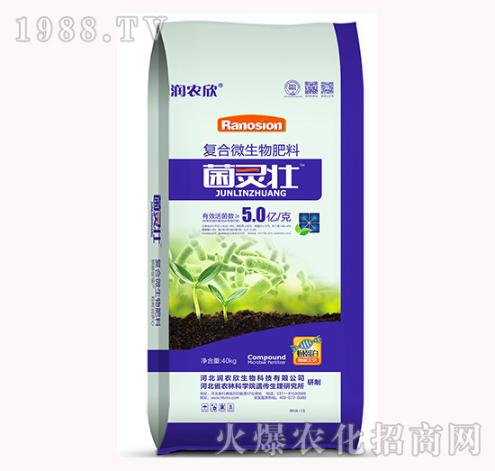 �ͺ�΢�������-���`��-���r��