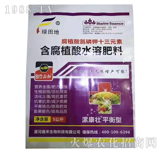 ��ֳ�ᵪ���ʮ��Ԫ��-�𿵉�-�G���