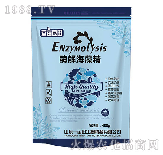 ø�⺣�徫-Ҽ������