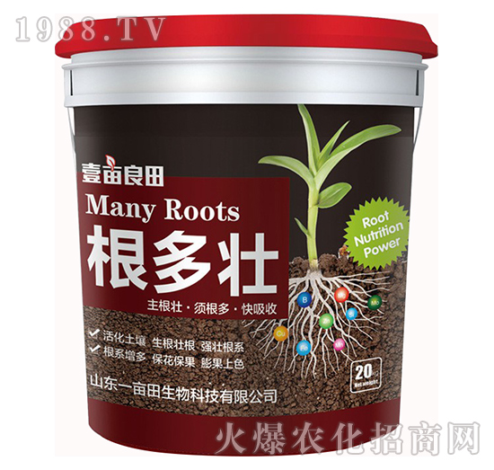 ������-Ҽ������