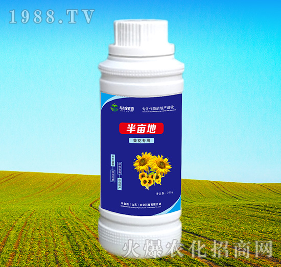 ���������~���-�뮀��