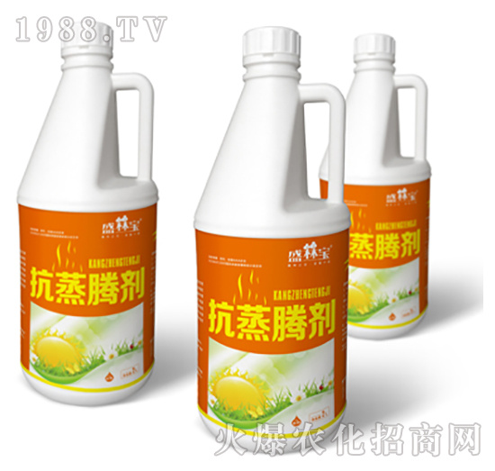 �����v��-�r(n��ng)��������