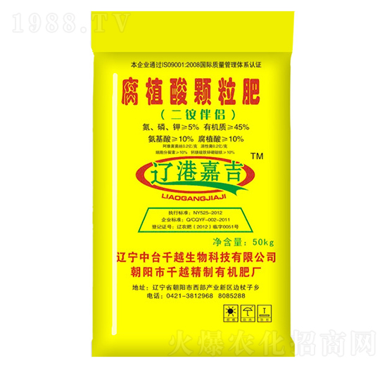 ��ֲ���w����-ǧԽ����