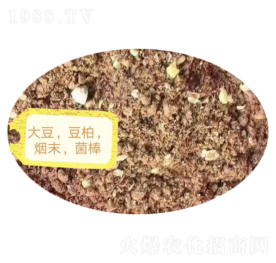 ������������ĩ��������-�Z�M�}