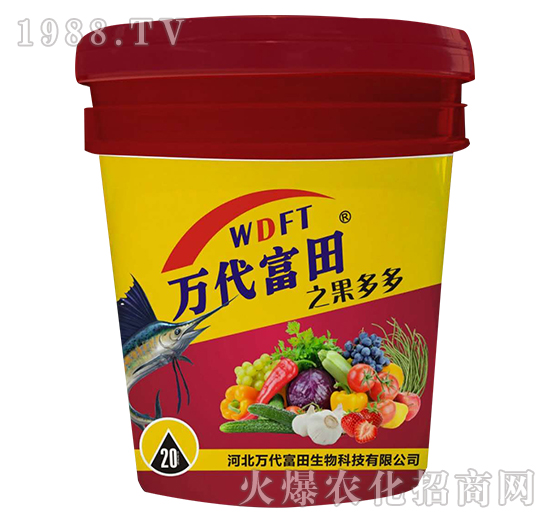 �����-�f(w��n)������