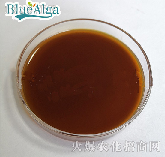 ���������أ�Һ�w��-�{������