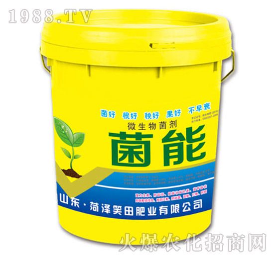 ΢�������-����-Ц��