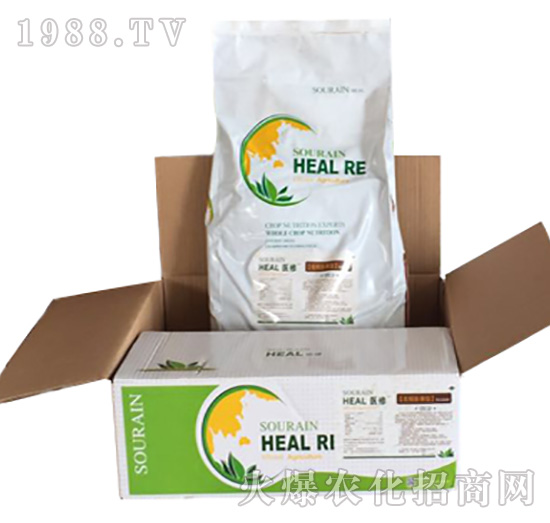 �t(y��)���������-����