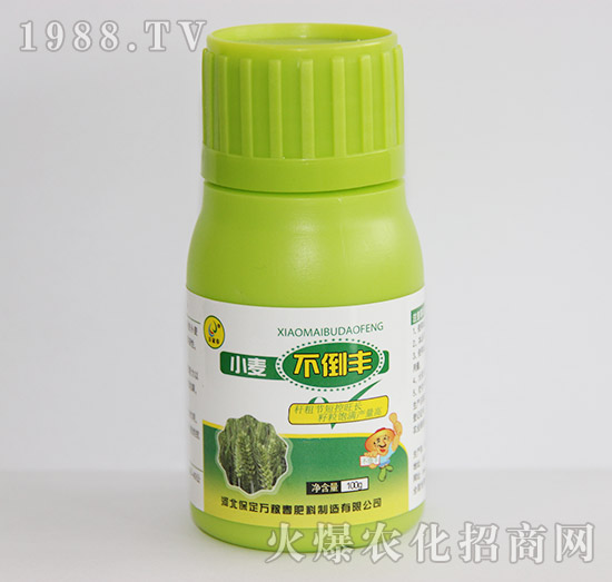 С�������S-�f(w��n)�ڴ�