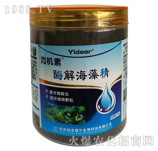 ø�⺣�徫-���C(j��)��-��?t��ng)����? style=