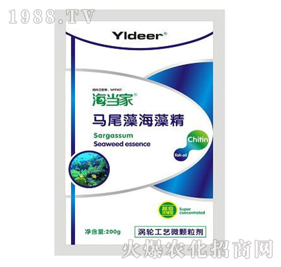 �Rβ�庣�徫-����(d��ng)��-� �����