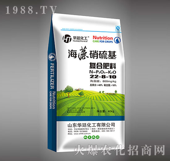 ���������22-8-10��(f��)�Ϸ���-�A͢����