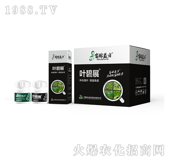 ����������-�~��չ�ײ�-�Gʿ��