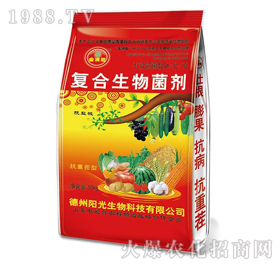 ��M���(f��)������������t��-ꖹ�����