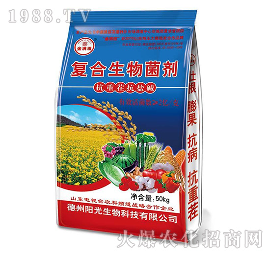 �ͺ��������-��M��{��-ꖹ�����