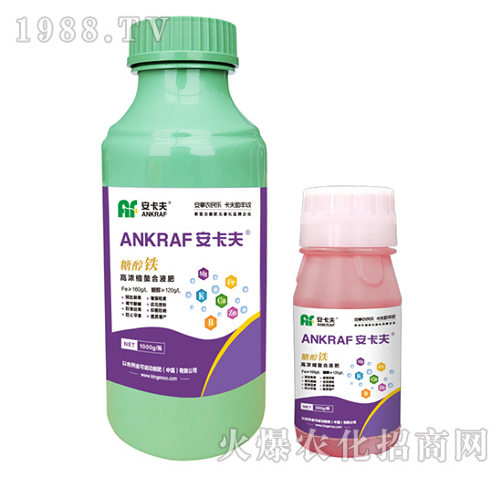 �Ǵ��F-������