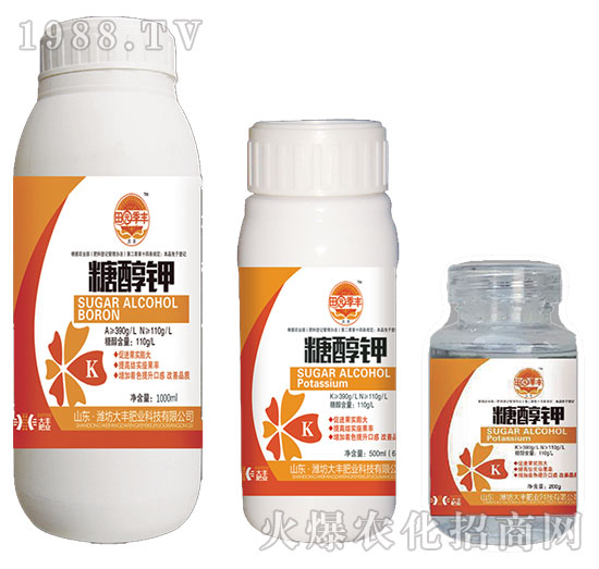 �Ǵ��-��@���S-���S�ʘI(y��)