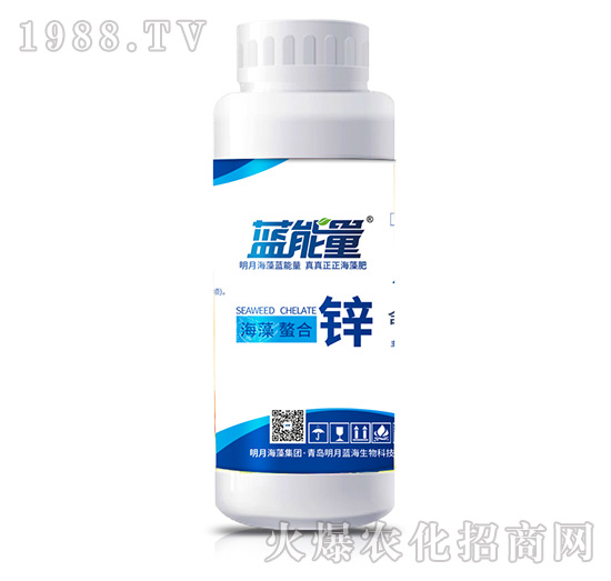 ���������\-�{����