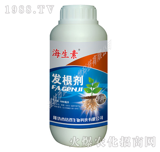 ������-������-�ŵ�