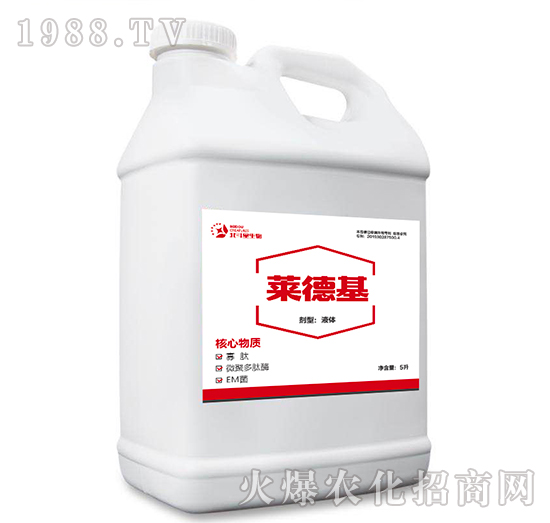 5L�R�»�-������