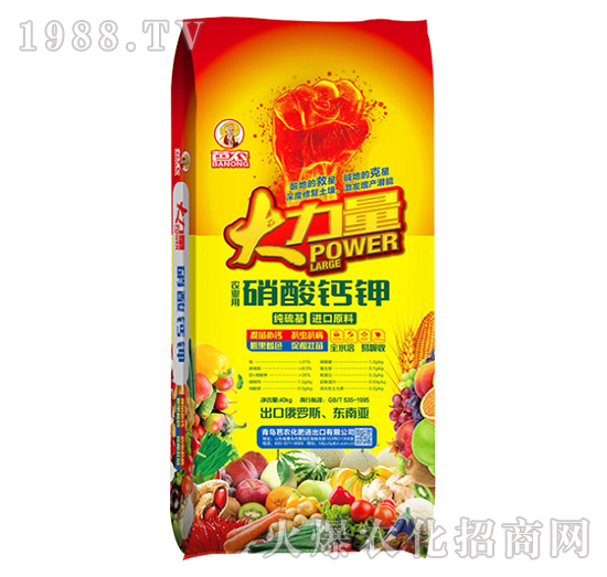 �����}�-������-�W�S�ʘI(y��)