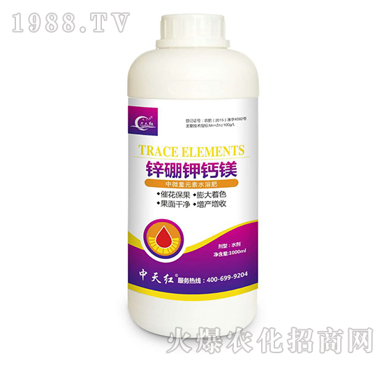 �\����}�V-����t