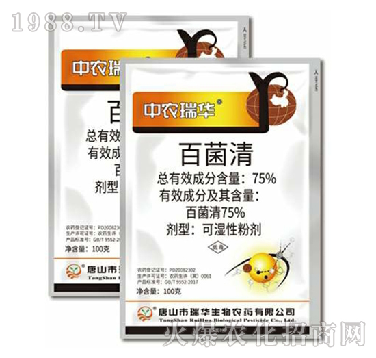 75%�پ���-���A����