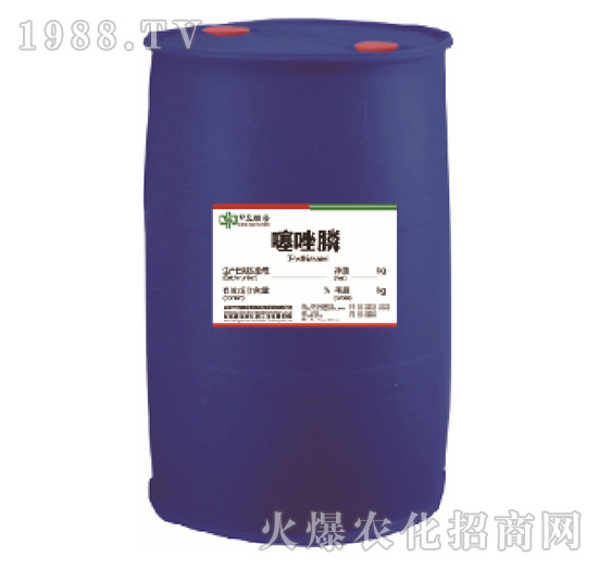 �����ԭˎ-���r(n��ng)(li��n)��