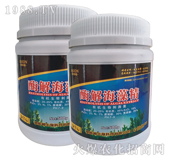 ø�⺣�徫-�W˹�D