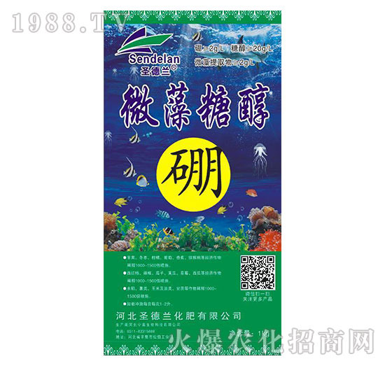 ΢���Ǵ���-ʥ���m